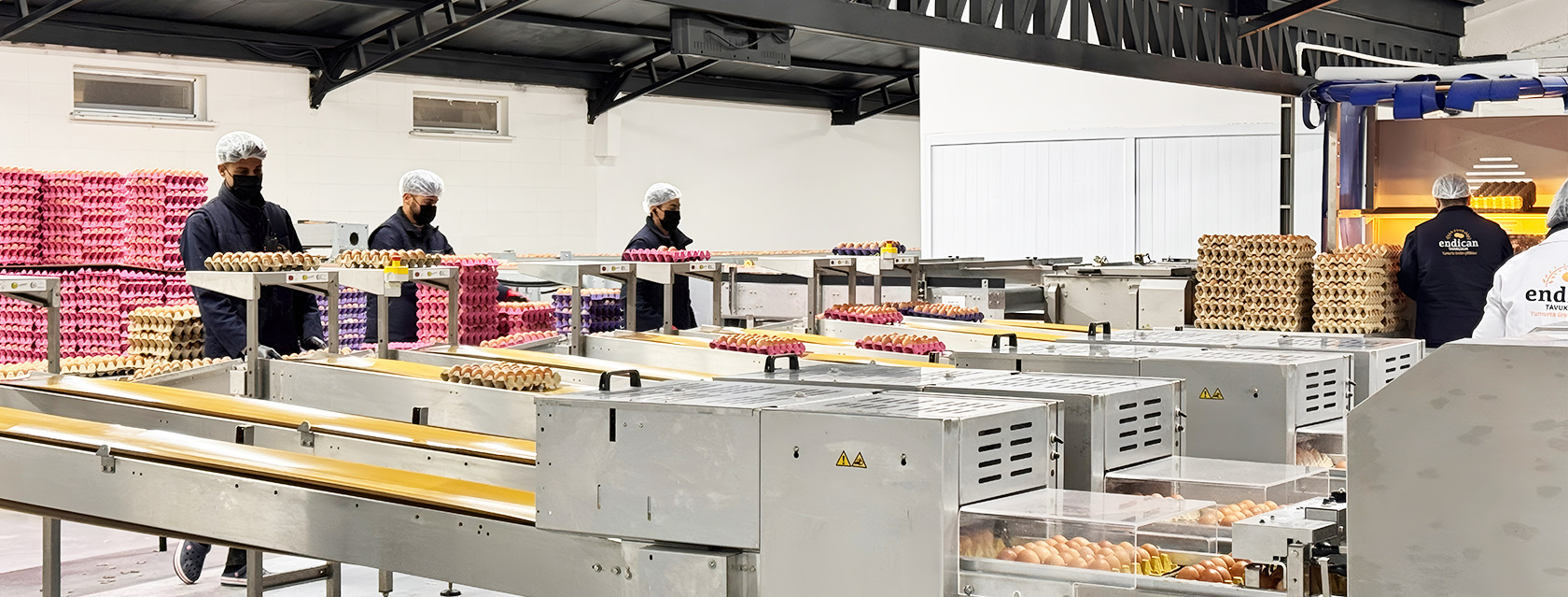 modern yumurta üretiminde yüksek teknolojinin rolü