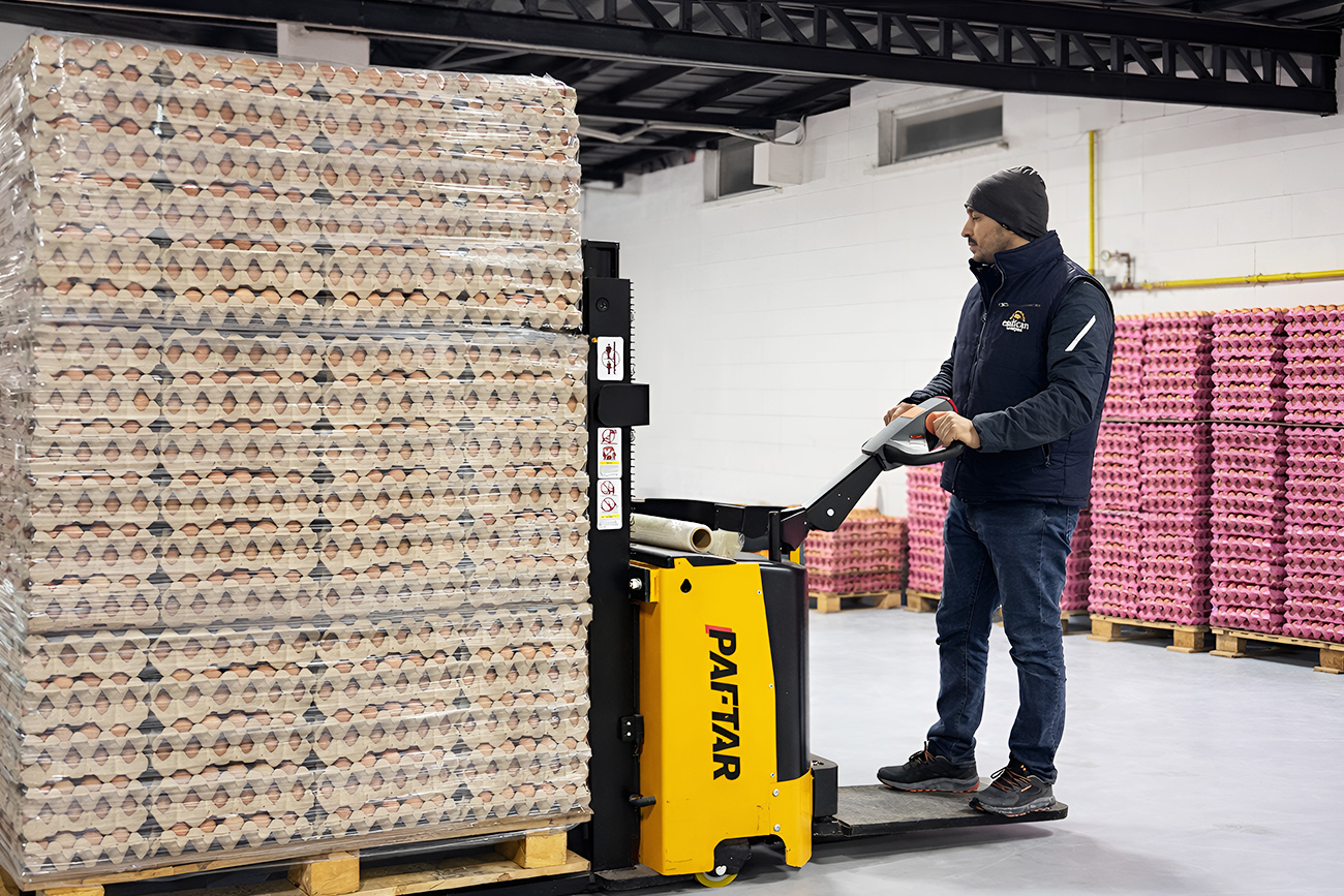 depolama ve sevkiyat