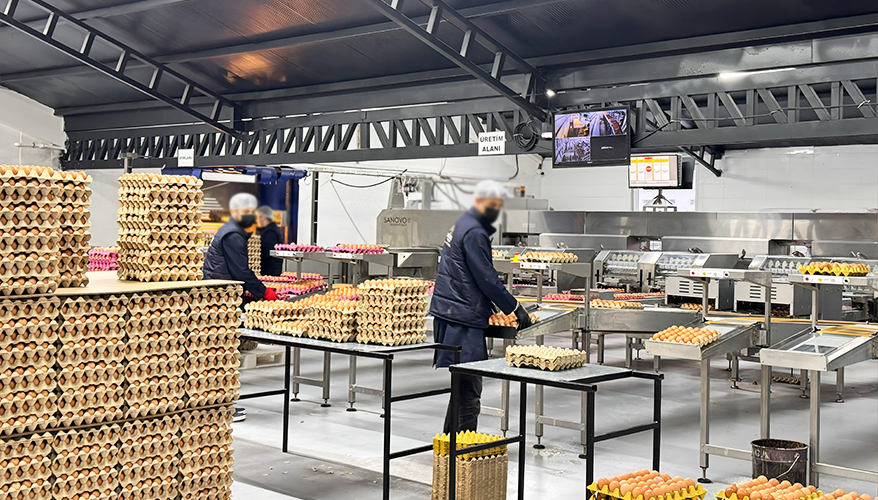 hijyen ve kontrol süreçleri